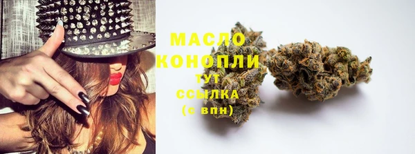 хмурый Абаза