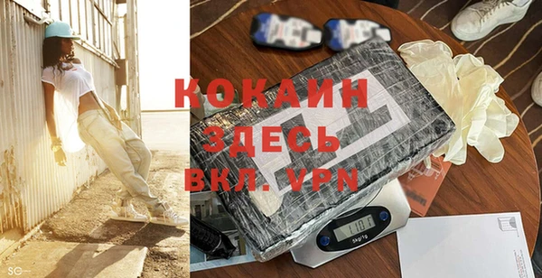 хмурый Абаза