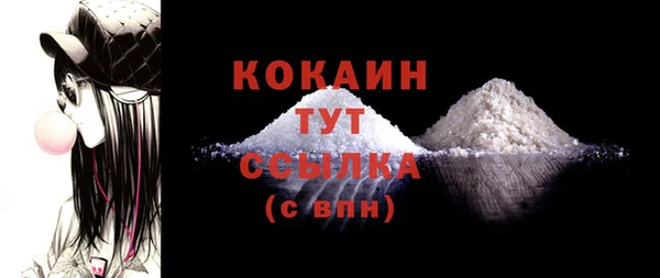 хмурый Абаза