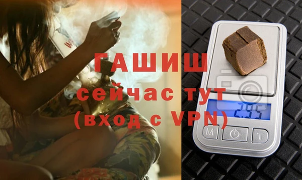 хмурый Абаза