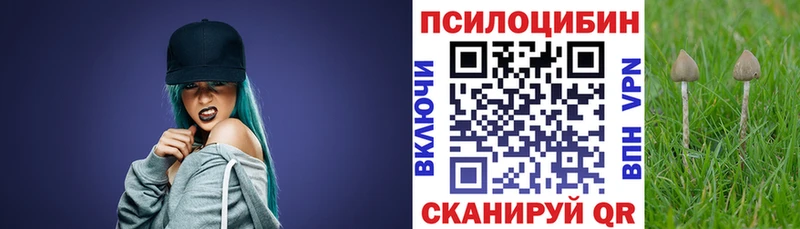 Галлюциногенные грибы Cubensis  Нариманов 